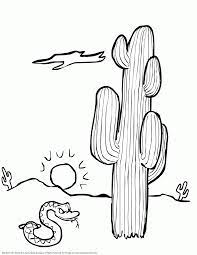 Western Printable Coloring Pages Google Search Animal Coloring Pages Desert Animals Coloring Turtle Coloring Pages