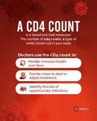 Image result for CD4 Cell Count