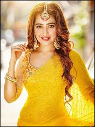 In 2011, she announced that she would place roles on television serials behind her priorities to star in feature films. Gramer Rani Binapani Star Jalsha Serial Cast Actor Actress