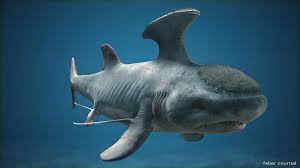The exact use of the spikes is not known, but it may have played a role in mating rituals, clamping to the bellies of larger animals, or be used . Prehistoric Shark Like Fish Stethacanthus Naturewasmetal