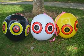 Résultat de recherche d'images pour "bird scarer from china"