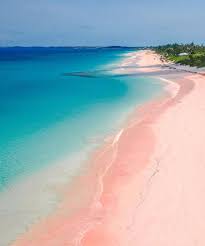 Where To Find Pink Sand Beaches And Black And Green Summer Travel Destinations Beach Trip Beaches In The World