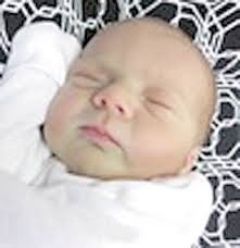 Steuben County Births