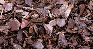 The clay home depot isn't just a hardware store. Bark Range