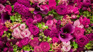 Published by sfondi pc on 2 marzo 2018 leave a response. Fiori Hd