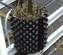 The larger the remaining root ball, the more feeder roots you will have and the better chance the tree or shrub will transplant successfully. Guide To Air Pruning Containers Tips On Air Pruning Roots