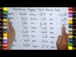 Segala puji bagi allah, tuhan sekalian alam. Kosakata Anggota Tubuh Manusia Dalam Bahasa Arab Dan Artinya Youtube