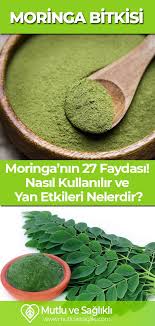 Moringa Bitkisi Nin 27 Faydasi Nasil Kullanilir Ve Yan Etkileri Nelerdir Saglik Saglikli Yasam Beslenme