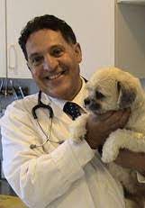 All bay animal hospital concord, ca 94520. Dr Morsy Alsamadisi All Pets Vet Hospital Branchburg Nj
