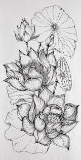 Lotus Flowers Drawing By Shea Zimmerman In 2020 Lotus Flower Art Line Art Flowers Flower Sketches