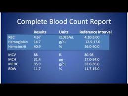 complete blood count