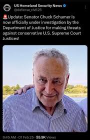 Elon Musk's DOGE commission gains access to sensitive Treasury payment  systems: AP sources