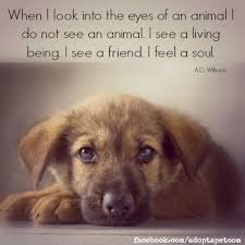 Check out our rescue dog quotes selection for the very best in unique or custom, handmade pieces from our art & collectibles shops. 10 Inspiring Quotes About Animals Inspirational Animal Quotes Animal Quotes Dog Quotes