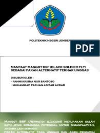 Free pdf, epub ebook download. Powerpoint Bsf Fix