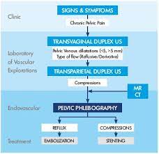 Instrumental Diagnosis Of Pelvic Congestion Syndrome Servier Phlebolymphologyservier Phlebolymphology