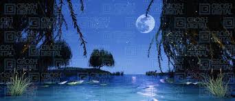 Lagoon With Fireflies Projected Backdrops Grosh Digital Forest Backdrops Backdrops Firefly Images