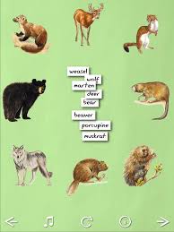 Animal Name Game Fun Learning Games Learning Games Name Games