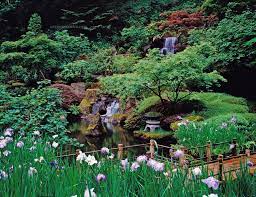 Oregon Japanese Garden Beautiful Flowers Garden Portland Japanese Garden