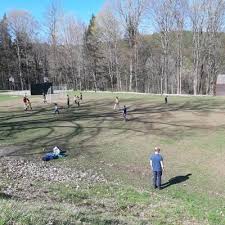 Menjadi salah satunya type rumput pakan ternak, rumput grinting memang baik untuk kesehatan hewan ternak. Angus Leung Findpenguins