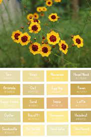 Pin On Gardens And Landscaping