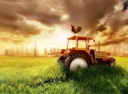 See more ideas about countryside, countryside landscape, beautiful places. Piacquadio Tractor In Countryside Art Print Canvas On Stretcher Glass Print