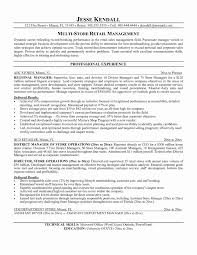 Real Estate Broker Resume Template Luxury General Resume Objective ...