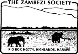 Image result for Eureiandra eburnea