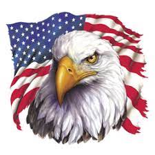 American Eagle Flag T Shirt Eagle Dad To Be Shirts Bald Eagle
