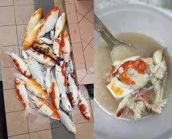 I drove from my home in rancho mirage, california and picked her up. Pet Food Malaysian Woman S Koi Soup Raises Eyebrows After She Makes Meal Out Of Dead Fish South China Morning Post