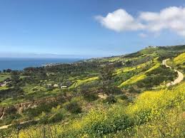 Mar 17, 2013 · the virginia peninsula ava covers a total of 673,059 acres in southeastern virginia. Best Wild Flowers Trails In Rancho Palos Verdes California Alltrails