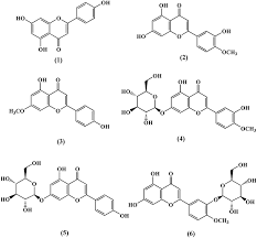 Image result for Tinospora fragosa