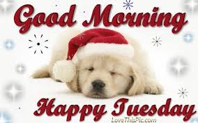 Tuesday relaxes and revive the mind and heart, helps us to make clear plans for the entire week. Good Morning Happy Tuesday Christmas Dog Quote Good Morning Happy Good Morning Tuesday Happy Tuesday