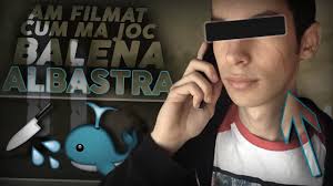 Check spelling or type a new query. Am Filmat Cum Joc Balena Albastra Jocul Sinucigasilor Youtube