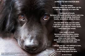 We did not find results for: Pictures With Quotes About Fostering A Dog Quotesgram