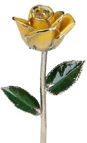 These delicate blooms show innocence and thoughtfulness. Ultimate Yellow Rose Meaning Symbolism Guide Goldflorist