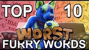 Top Ten Worst Furry Words Youtube