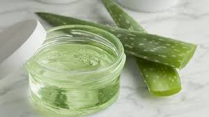 Image result for gel aloe vera