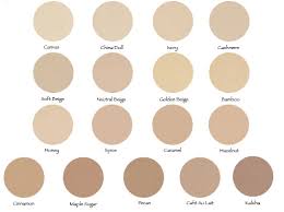 lancome dual finish color chart bedowntowndaytona com