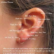 Pin By Rebecca Ward On Accessories In 2021 Ear Piercings Chart Types Of Ear Piercings Piercing Chart