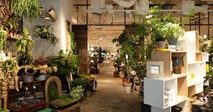 new spot actus tokyo petite passport