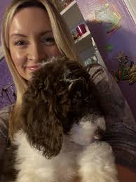 Happy 4th Birthday to our sweet, silly, and very loving Dolly 💗🎉🥳🎈She  gives the best hugs and kisses, loves chicken and to go