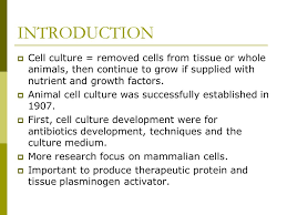 Since publication of the previous edition of this benchmark text, numerous types of equipment and materials have changed and new specialized techniques have been developed, particularly in. Ert 211 Biochemical Engineering Course Outcome Ability To Describe The Usage And Methods For Cultivating Plant And Animal Cell Culture Ppt Download