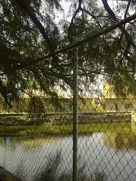 Huipana En Tu Voz Huipana Michoacan Mexico