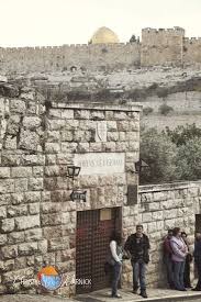 Entrance To The Garden Of Gethsemane And The Golden Gate In The Distance Sealed By Suleiman The Great To Prevent Holy Land Israel Jerusalem Israel Bible Land