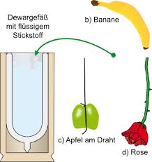 Stickstoff wird zur füllung von flugzeugreifen großer flugzeuge verwendet. Lp Versuch 57 Experimente Mit Flussigem Stickstoff Einfrieren Von Materialien Teil B C D E F