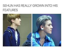 Ok Awh Exo Memes Exo Exo Funny