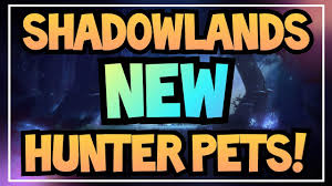 I use a /pet attack macro attached to corruption. Hunter Macro Guide 2020 Easy Copy Paste Macros For All Specs World Of Warcraft Shadowlands 9 0 Youtube