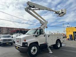 Image result for Olympic White 2004 Topkick