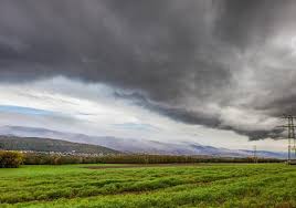 Shop furtuna skin's collection of luxury skincare products from italy. CuriozitÄƒÈ›i Despre Furtuni