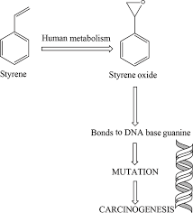 Styrene Toxicity Jobeth Helmig Mason S Toxic Substances Blog